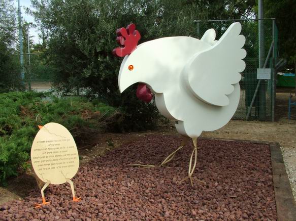 פסל תרנגולת- דוגרת במושב גאליה